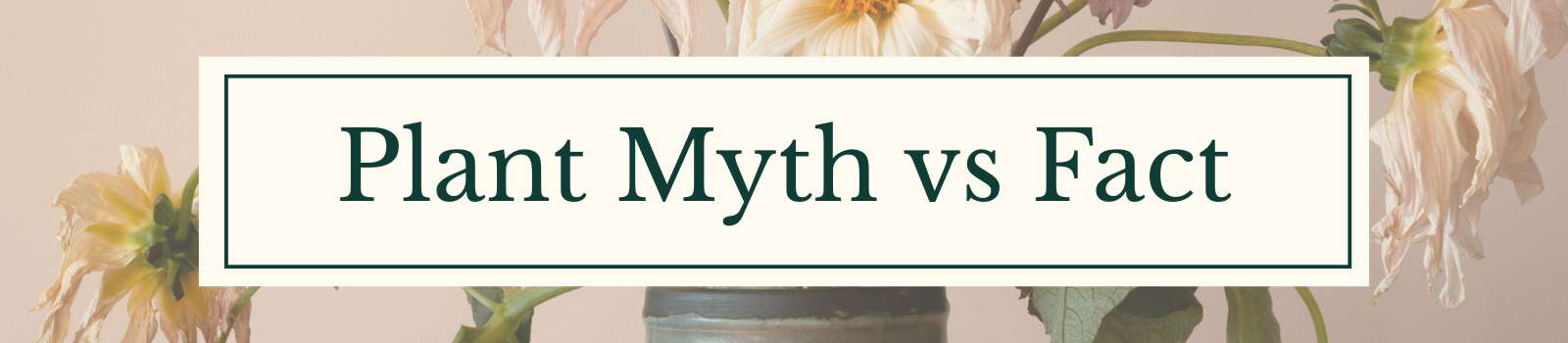 Plant Myth vs Fact Blog Category